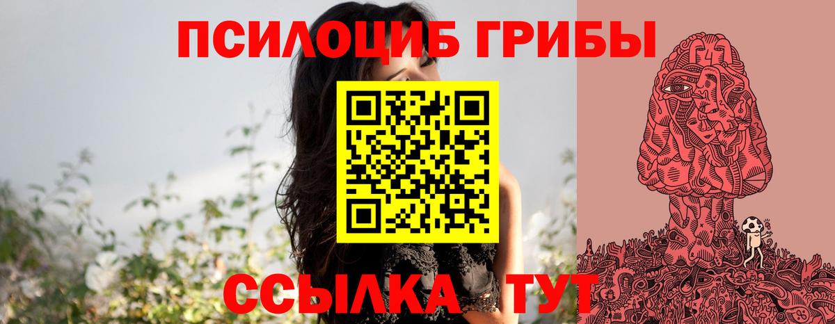 Вязники  Псилоцибиновые грибы мицелий  Вход с VPN  Галлюциногенные грибы Cubensis 